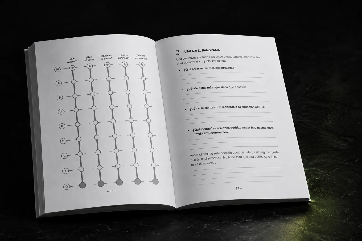 Interior del libro Creatividad Ilegal